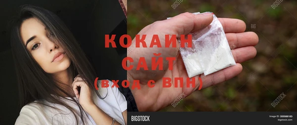 мет Инсар