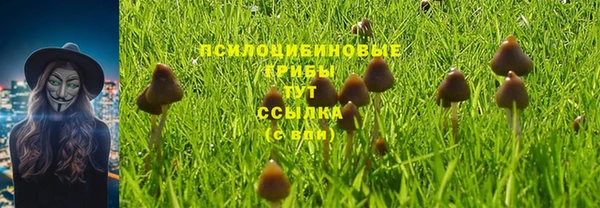 ALPHA-PVP Иннополис