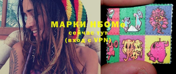 мет Инсар