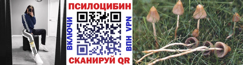 Купить закладки  Добрянка  Галлюциногенные грибы Psilocybine cubensis 